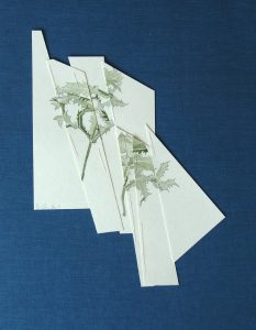 "vernarbte Zeichnung III" Bleistift und Aquarell auf Papier, abgebildet auf blauem Hintergrund 41 x 30,5 cm, 2015