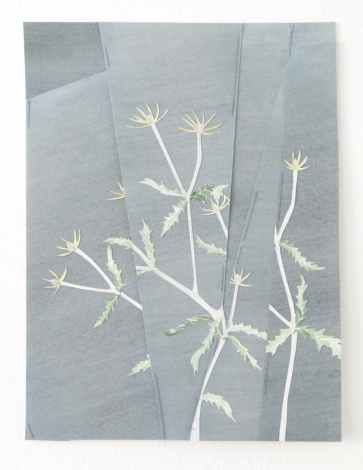 Scherenschnitt mit Pflanzenmotiv aus der Werkserie "reaching for" (Bleistift und Aquarell auf Papier, Garn, Leim, 40 x 30 cm, 2020)